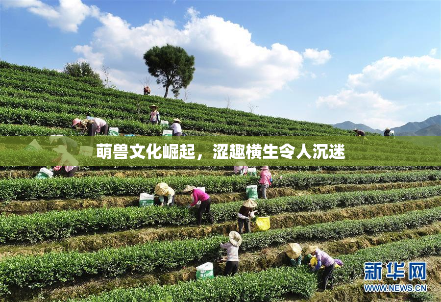 萌兽文化崛起，涩趣横生令人沉迷