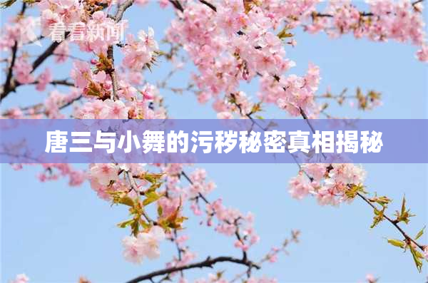 唐三与小舞的污秽秘密真相揭秘