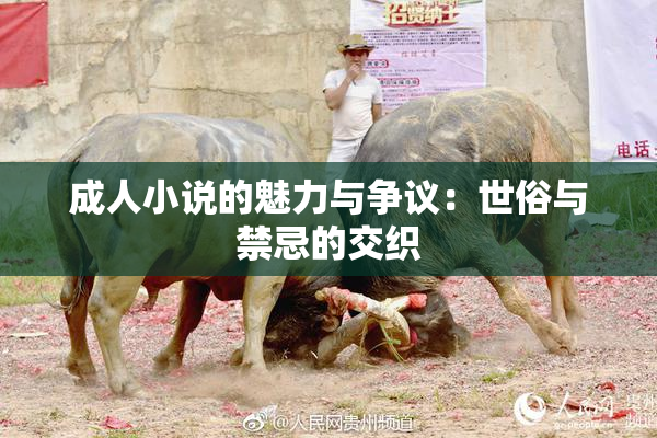 成人小说的魅力与争议：世俗与禁忌的交织