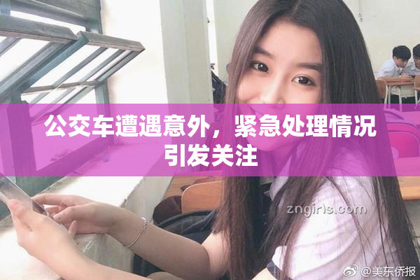 公交车遭遇意外，紧急处理情况引发关注