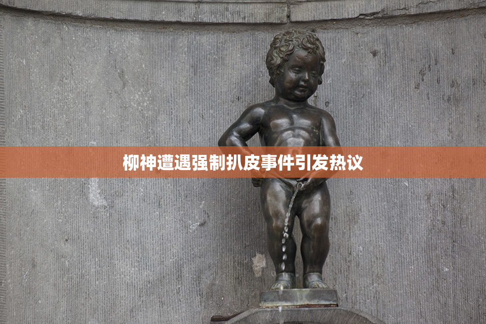 柳神遭遇强制扒皮事件引发热议