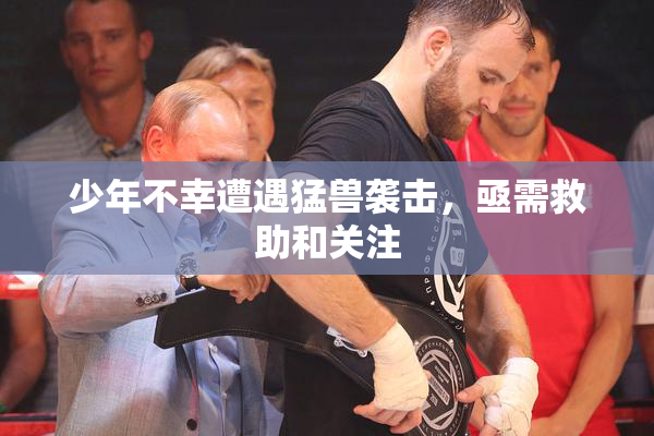 少年不幸遭遇猛兽袭击，亟需救助和关注