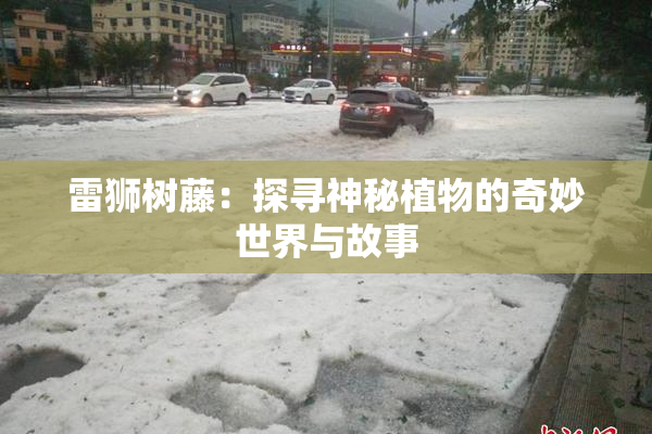 雷狮树藤：探寻神秘植物的奇妙世界与故事