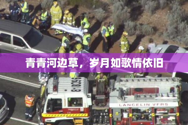 青青河边草，岁月如歌情依旧