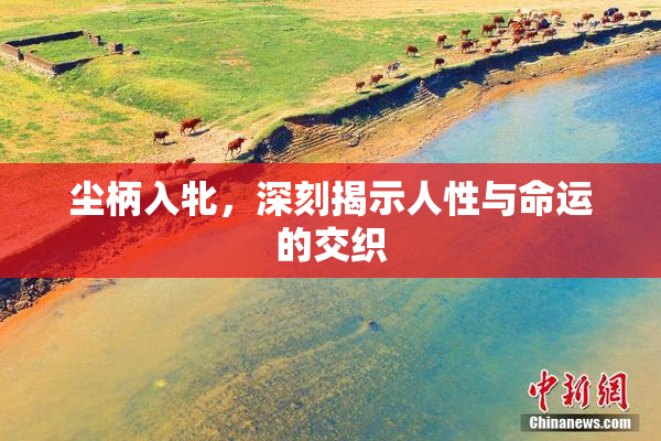 尘柄入牝，深刻揭示人性与命运的交织
