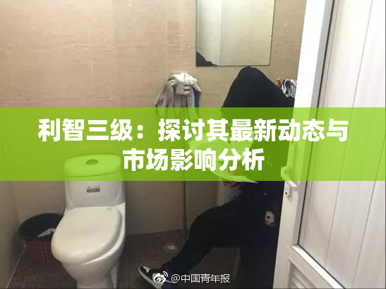 利智三级：探讨其最新动态与市场影响分析