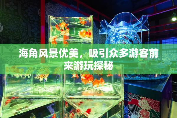 海角风景优美，吸引众多游客前来游玩探秘