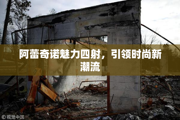 阿蕾奇诺魅力四射，引领时尚新潮流