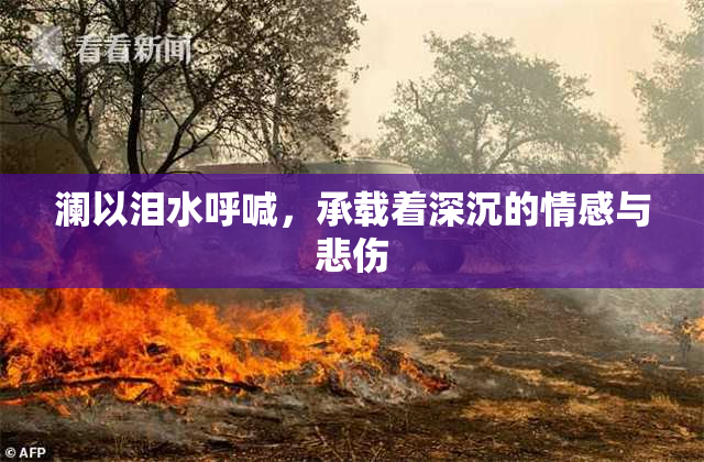 澜以泪水呼喊，承载着深沉的情感与悲伤