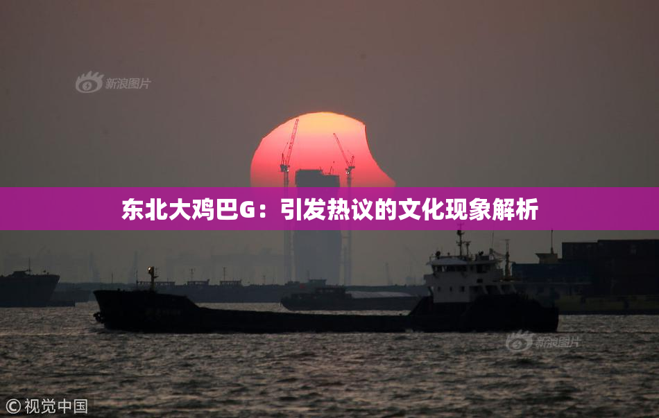 东北大鸡巴G：引发热议的文化现象解析