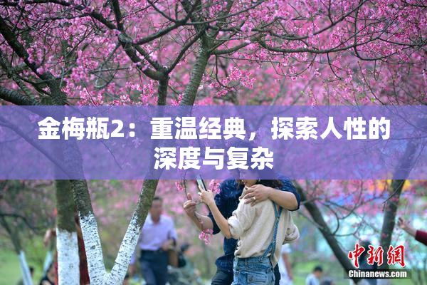 金梅瓶2：重温经典，探索人性的深度与复杂