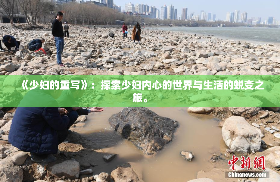 《少妇的重写》：探索少妇内心的世界与生活的蜕变之旅。