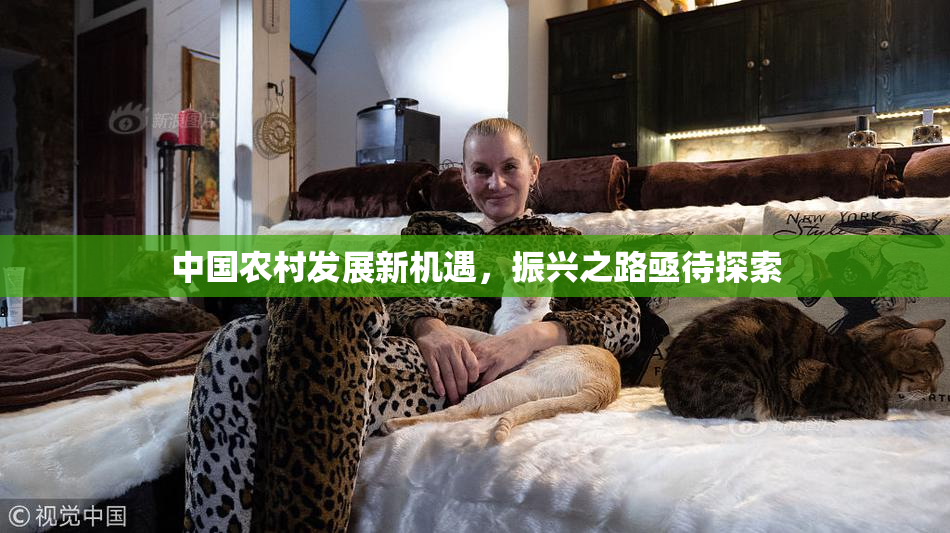中国农村发展新机遇，振兴之路亟待探索