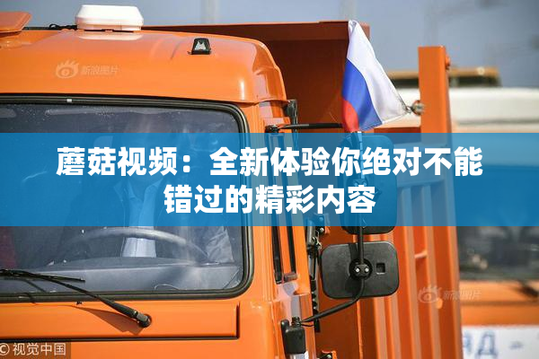 蘑菇视频：全新体验你绝对不能错过的精彩内容