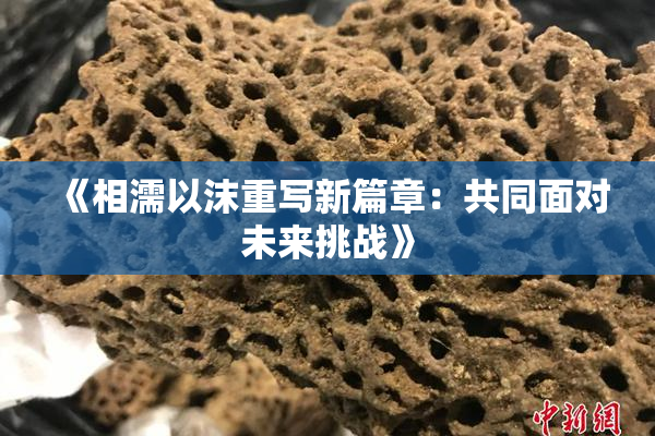 《相濡以沫重写新篇章：共同面对未来挑战》