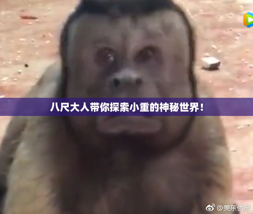八尺大人带你探索小重的神秘世界！