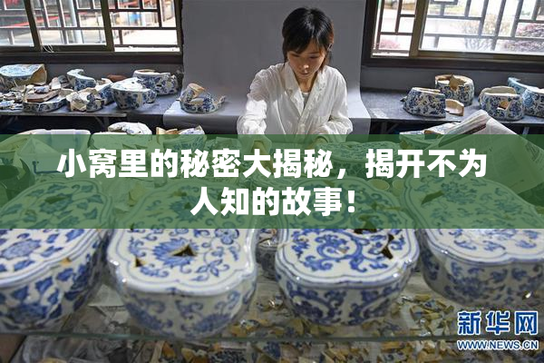 小窝里的秘密大揭秘，揭开不为人知的故事！