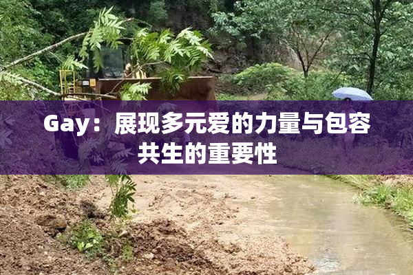 Gay：展现多元爱的力量与包容共生的重要性