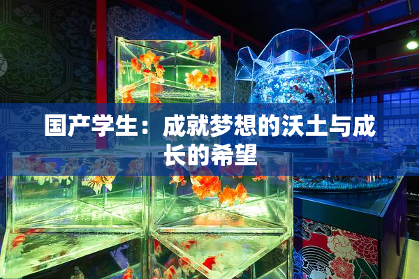 国产学生：成就梦想的沃土与成长的希望