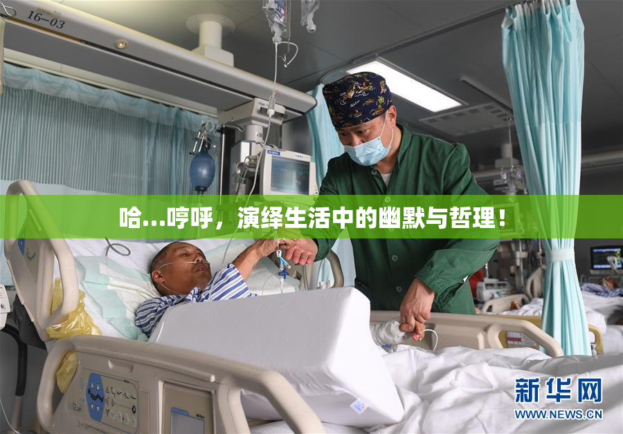 哈…哼呼，演绎生活中的幽默与哲理！