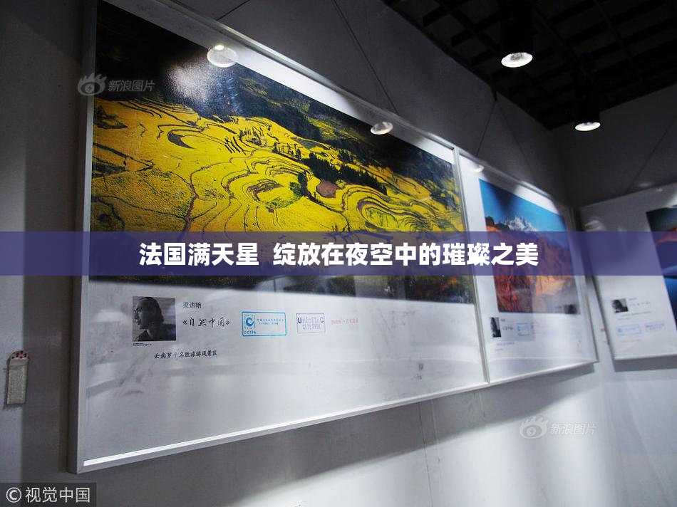 法国满天星  绽放在夜空中的璀璨之美