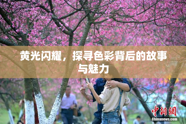 黄光闪耀，探寻色彩背后的故事与魅力