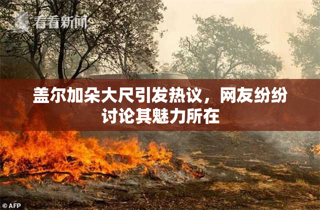 盖尔加朵大尺引发热议，网友纷纷讨论其魅力所在