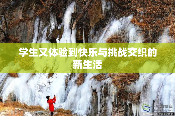 学生又体验到快乐与挑战交织的新生活