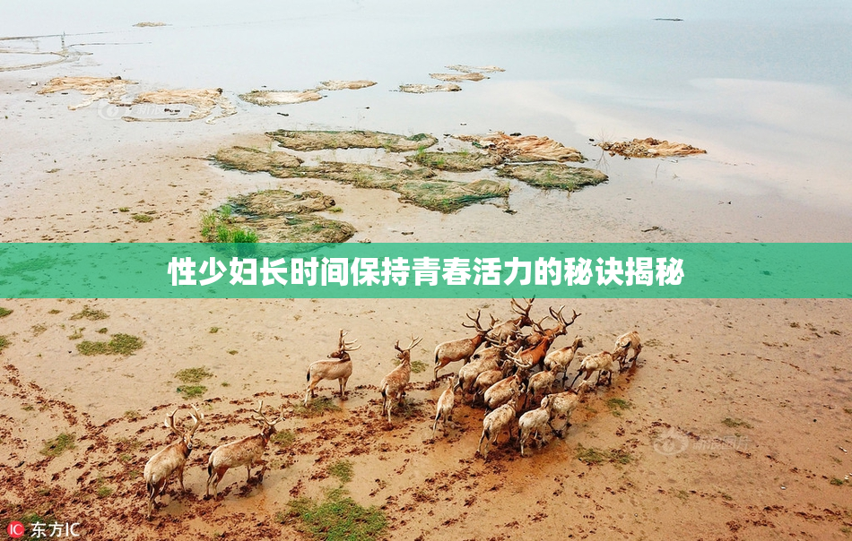 性少妇长时间保持青春活力的秘诀揭秘