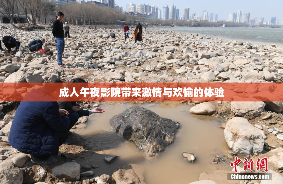成人午夜影院带来激情与欢愉的体验