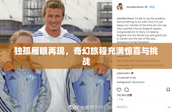 独孤雁眼再现，奇幻旅程充满惊喜与挑战