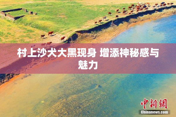 村上沙犬大黑现身 增添神秘感与魅力