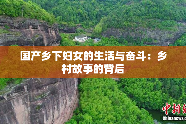 国产乡下妇女的生活与奋斗：乡村故事的背后