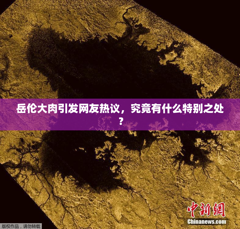 岳伦大肉引发网友热议，究竟有什么特别之处？
