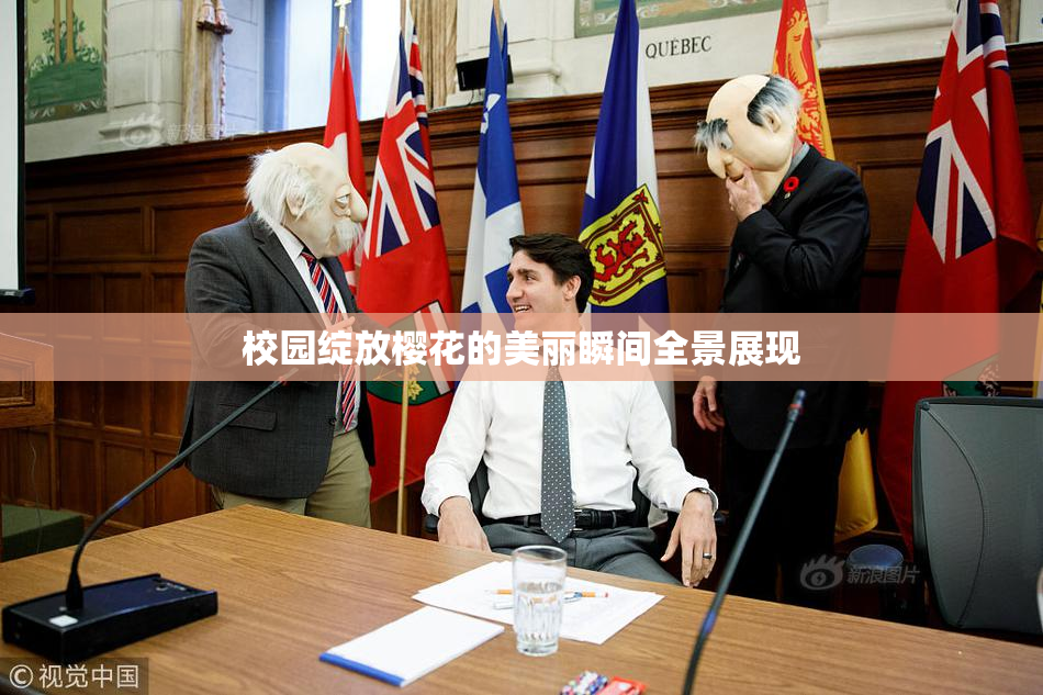 校园绽放樱花的美丽瞬间全景展现