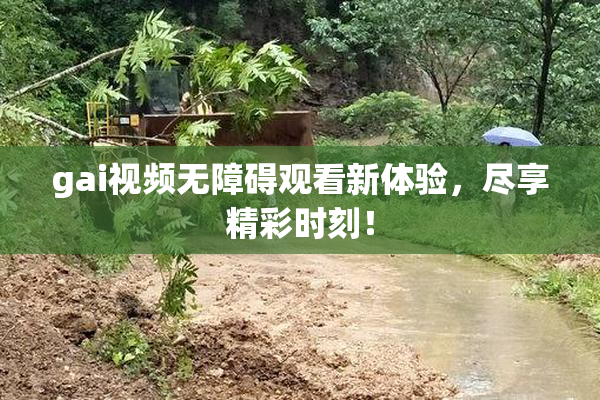 gai视频无障碍观看新体验，尽享精彩时刻！