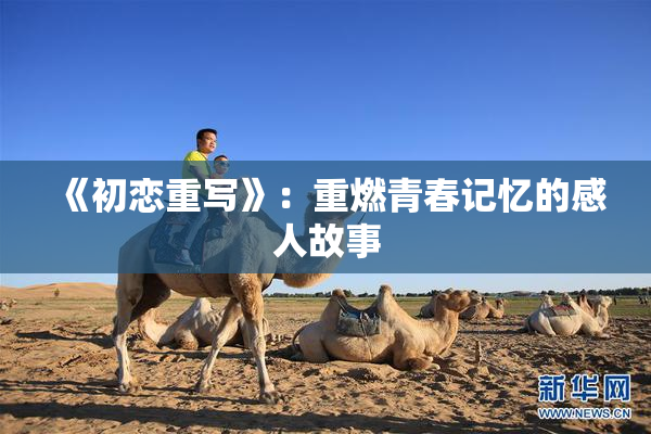 《初恋重写》：重燃青春记忆的感人故事