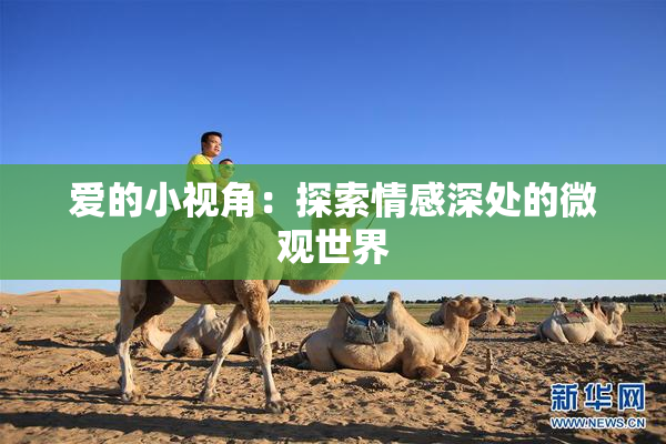 爱的小视角：探索情感深处的微观世界