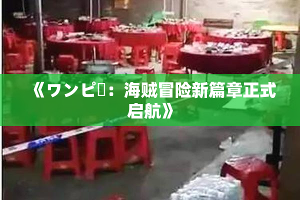 《ワンピー：海贼冒险新篇章正式启航》