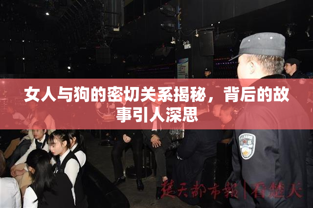 女人与狗的密切关系揭秘，背后的故事引人深思
