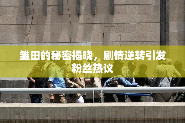 雏田的秘密揭晓，剧情逆转引发粉丝热议