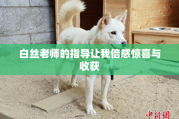 白丝老师的指导让我倍感惊喜与收获