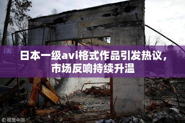 日本一级avi格式作品引发热议，市场反响持续升温