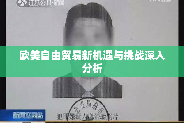 欧美自由贸易新机遇与挑战深入分析
