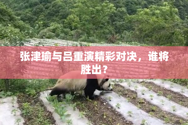 张津瑜与吕重演精彩对决，谁将胜出？