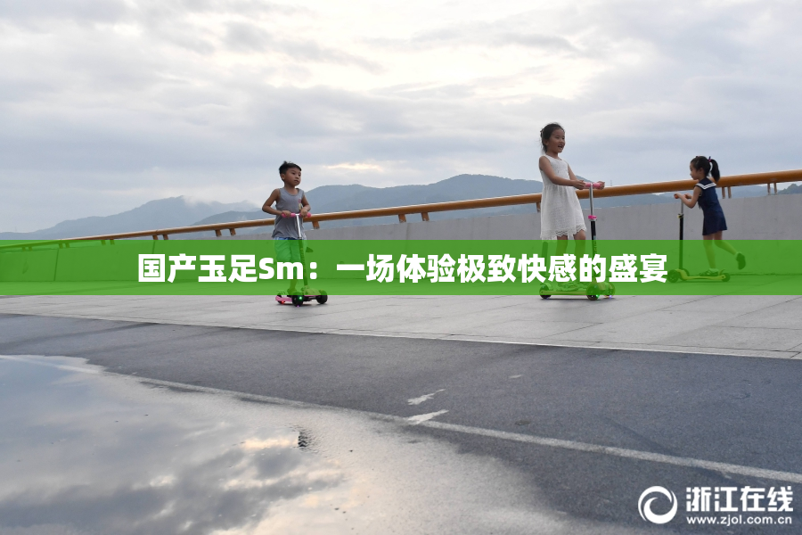 国产玉足Sm：一场体验极致快感的盛宴