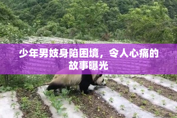 少年男妓身陷困境，令人心痛的故事曝光