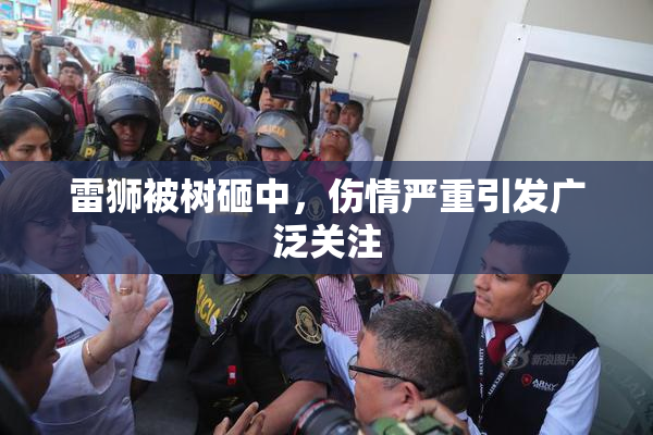 雷狮被树砸中，伤情严重引发广泛关注