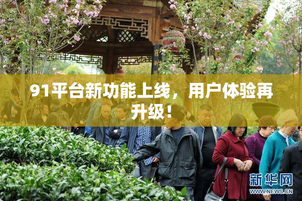 91平台新功能上线，用户体验再升级！