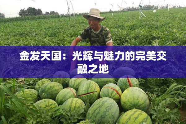 金发天国：光辉与魅力的完美交融之地